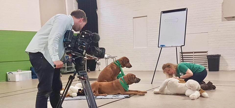 Winner small image - Rhodes 2 Safety